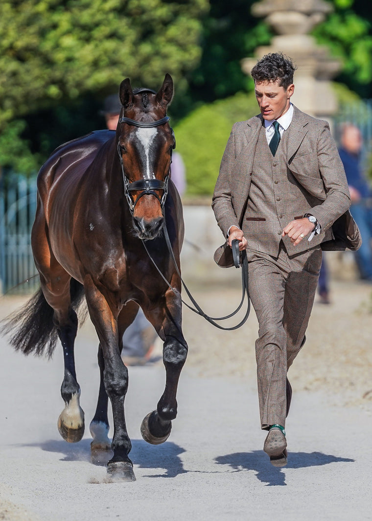 Will Rawlin Trot Up Look Two