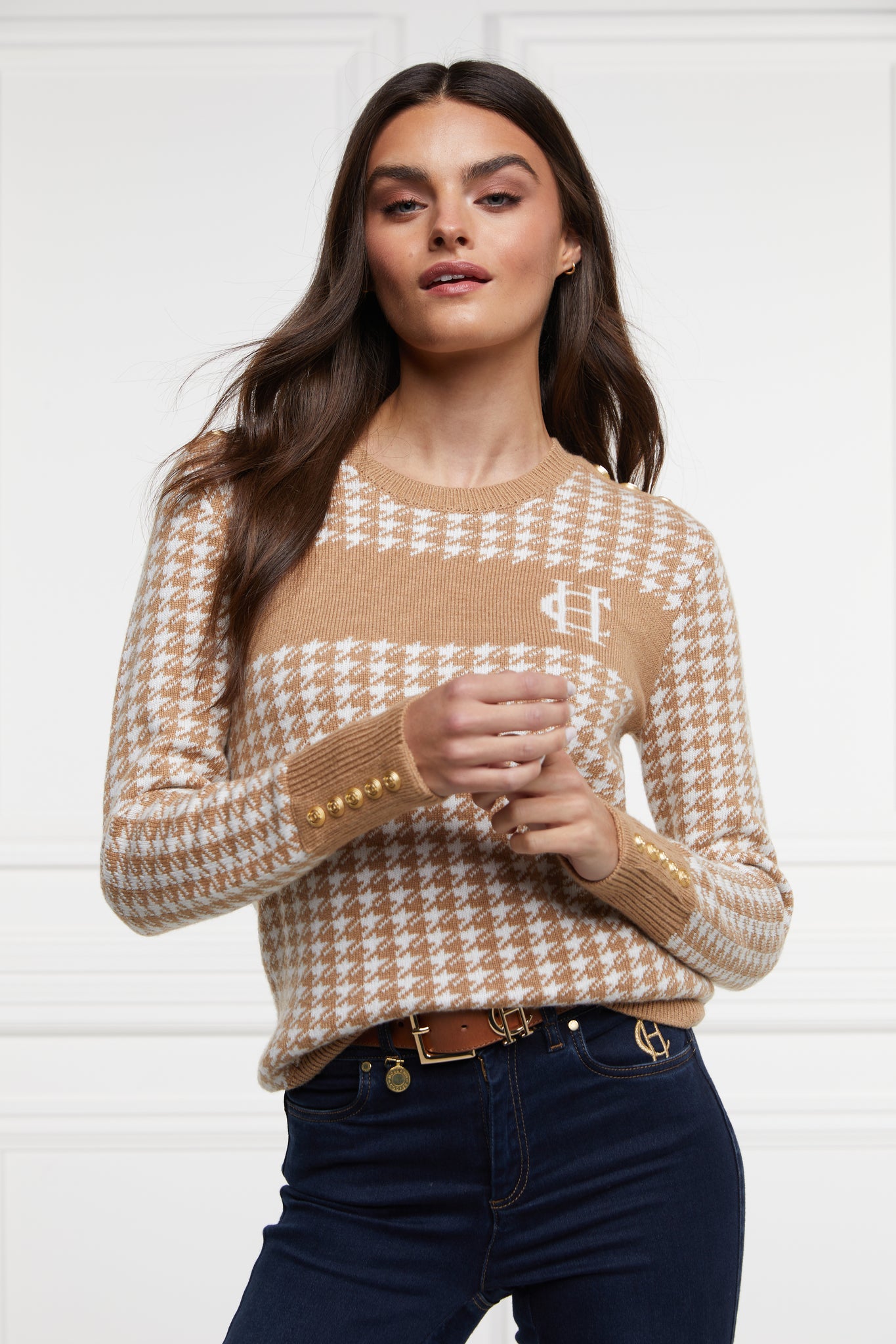 Panel Crew Neck Knit (Camel Houndstooth)