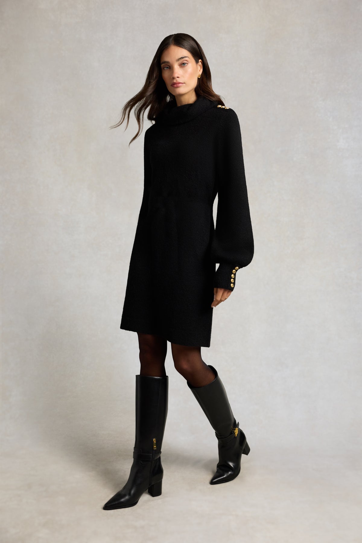 Berkeley Roll Neck Mini Dress (Black)