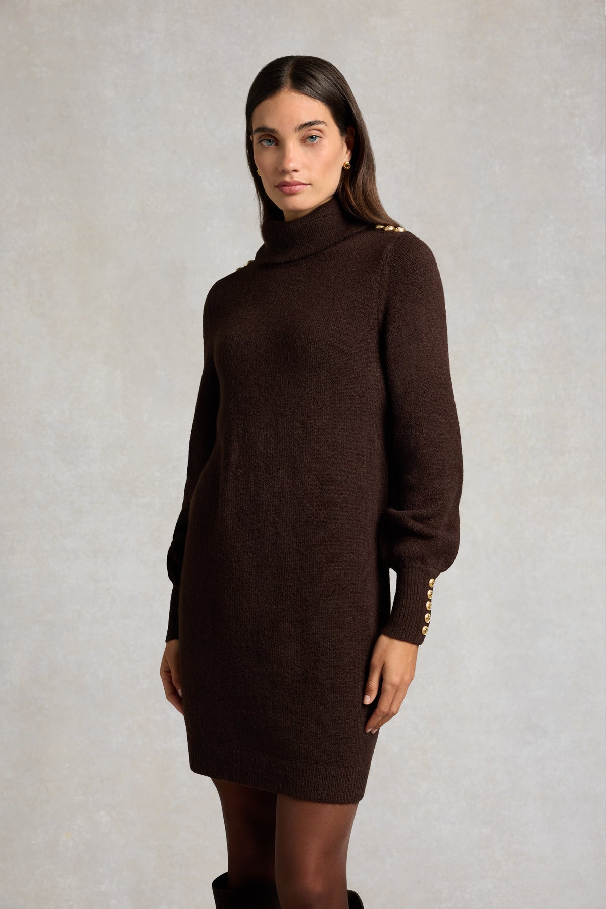Berkeley Roll Neck Mini Dress (Chocolate)