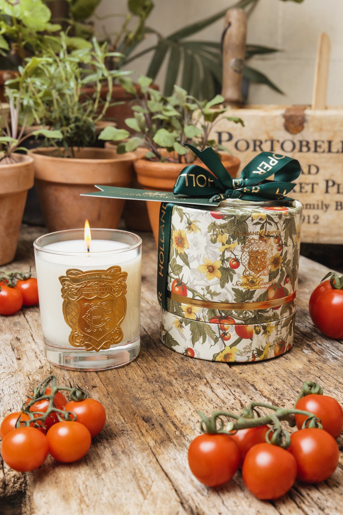 Single Wick Candle (The Kitchen Garden)