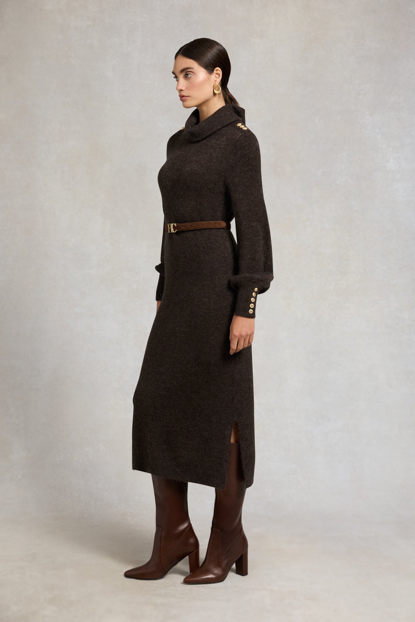 Berkeley Roll Neck Dress (Chocolate)