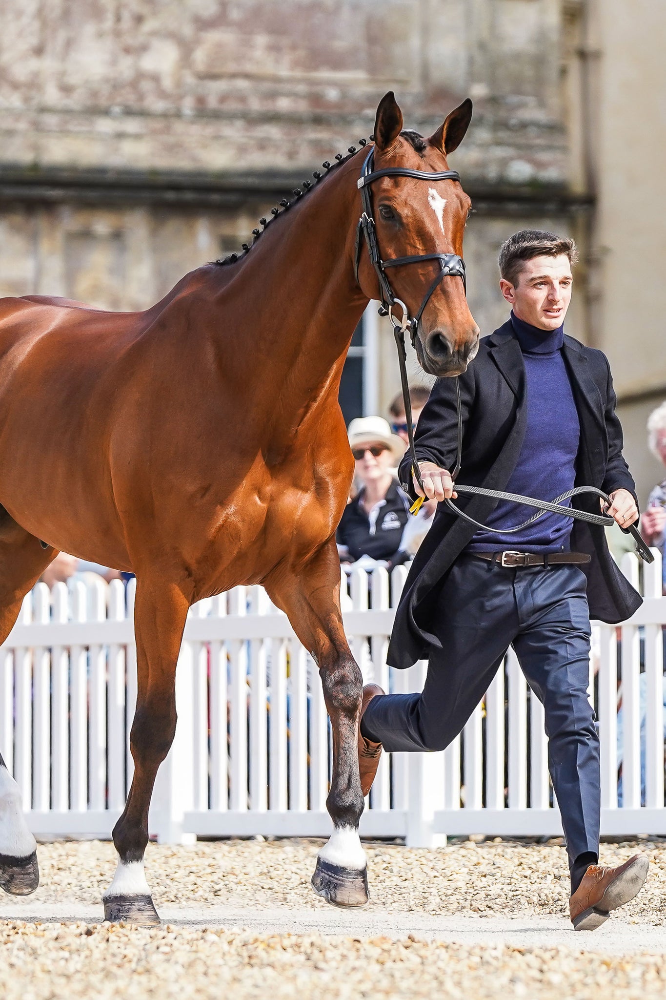 Tom Jackson's Trot Up Look One