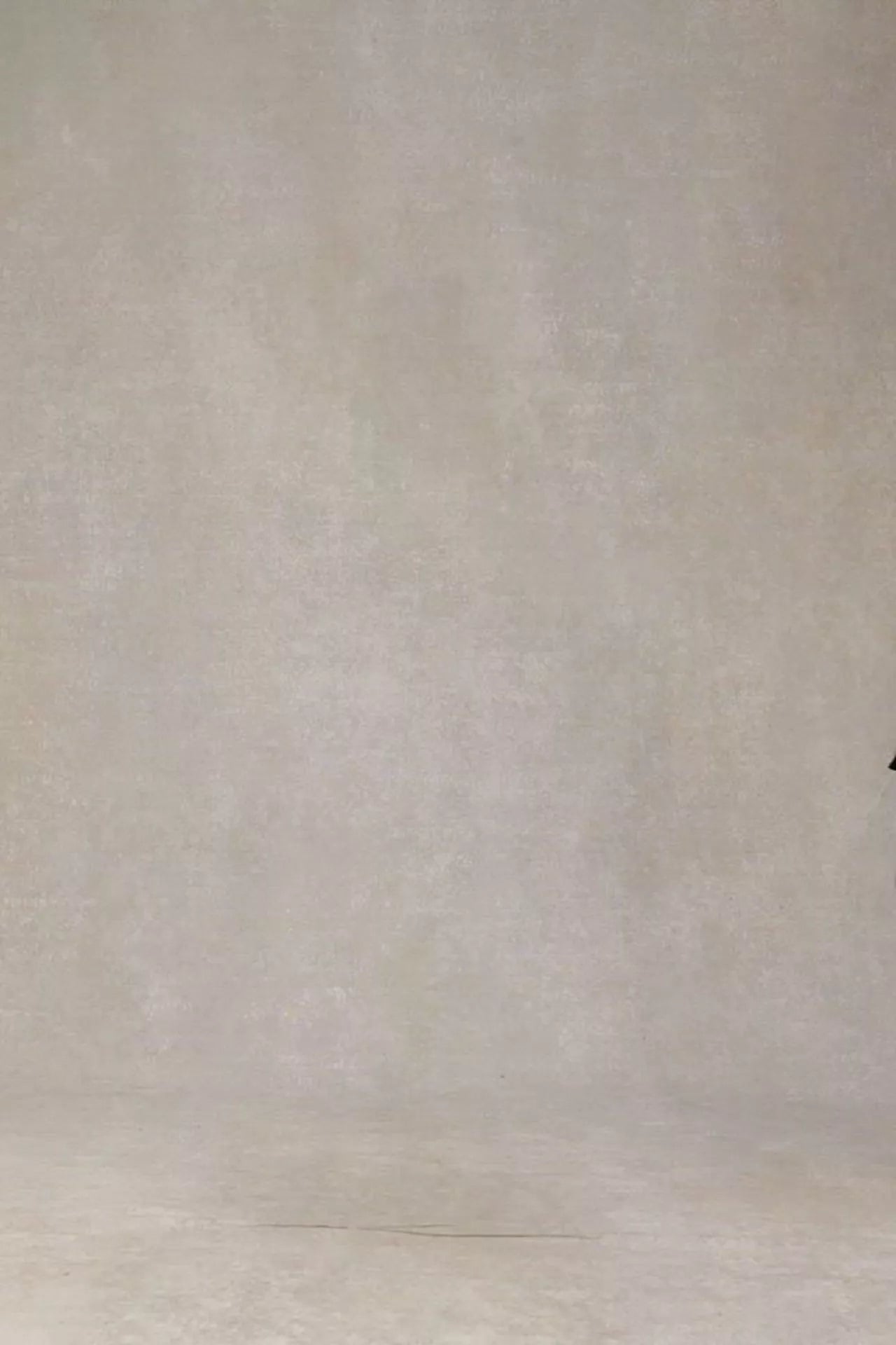 videowise-widget-66bdd17081916c0028a554c5-15430197444986