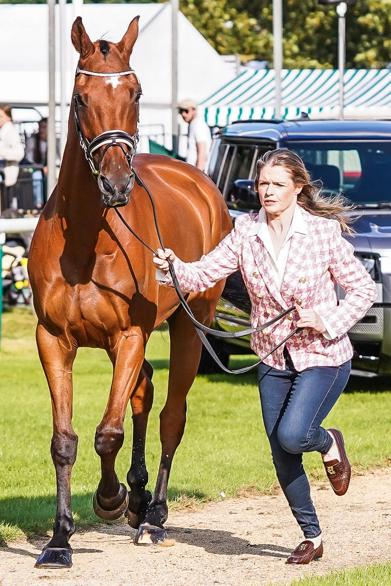 Julia Norman's Trot Up Look One