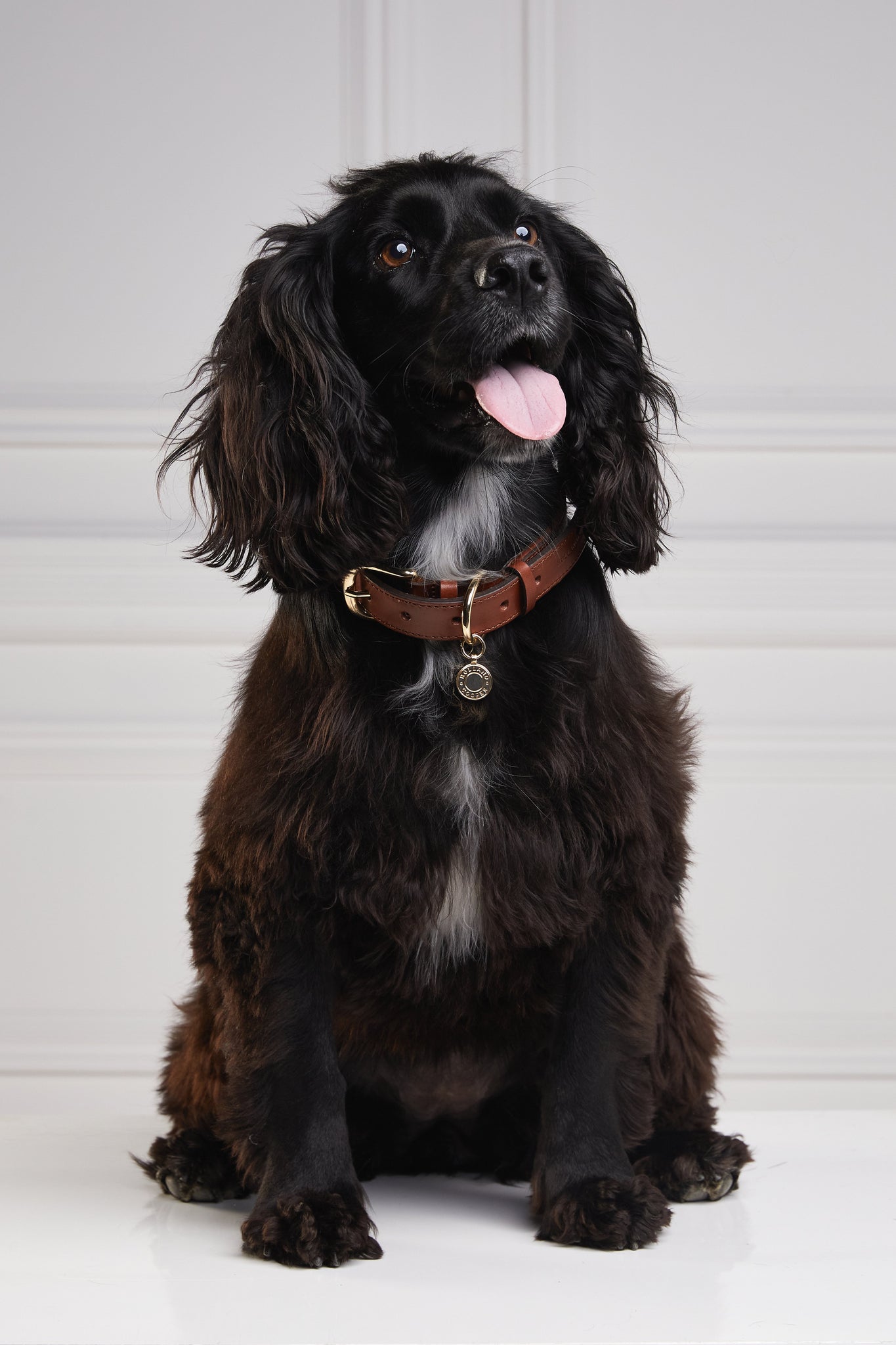 HC Classic Dog Collar (Chestnut & Tweed)