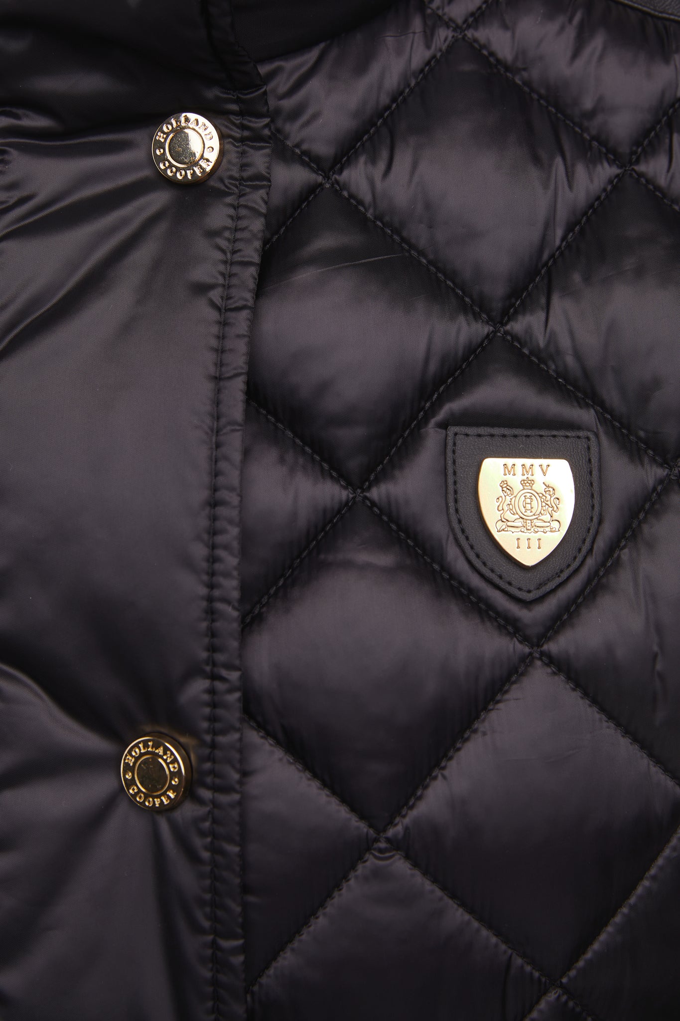 Charlbury Quilted Gilet (Black)