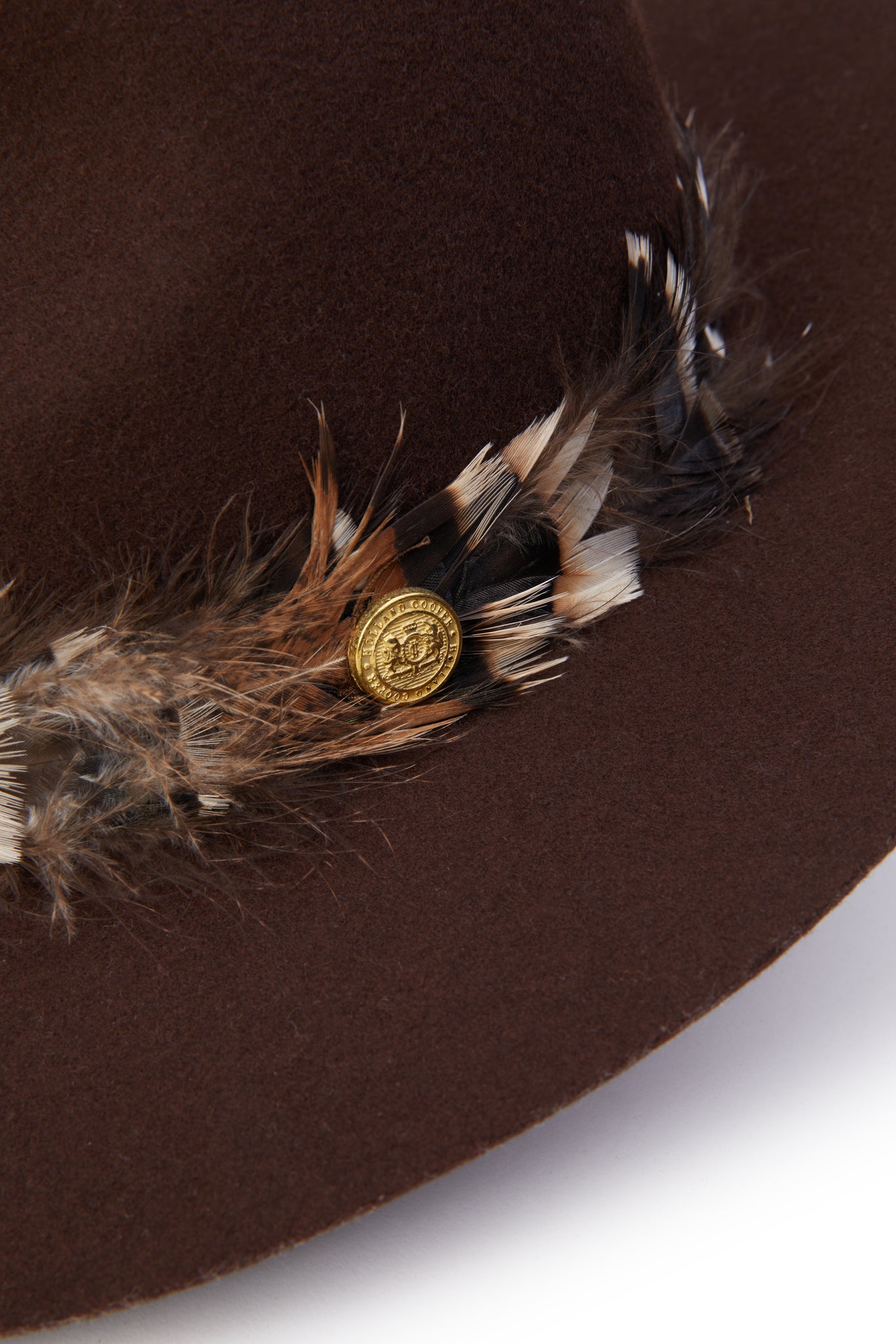 Trilby Hat Iridescent Feather Band (Chocolate)