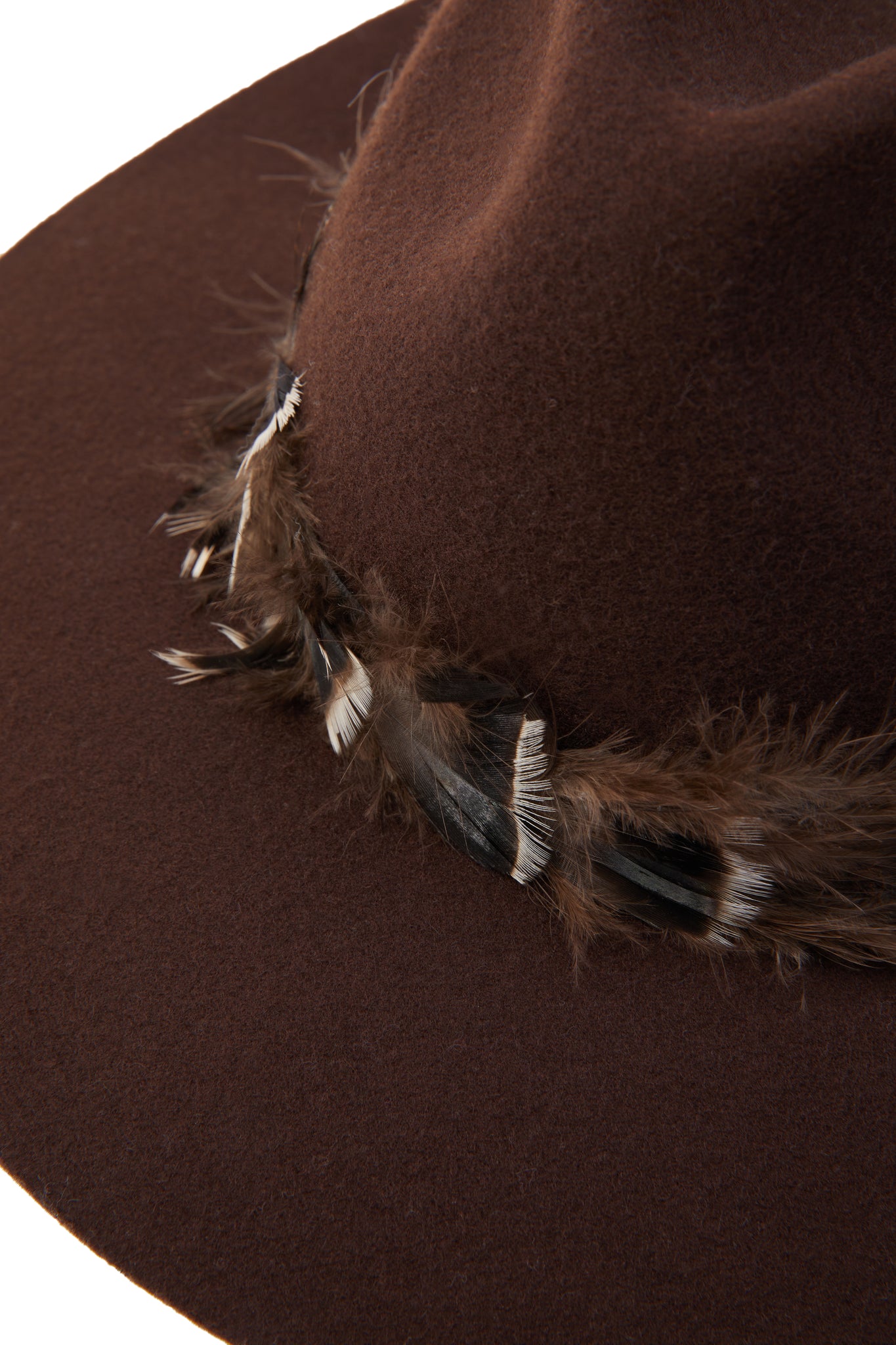 Trilby Hat Iridescent Feather Band (Chocolate)